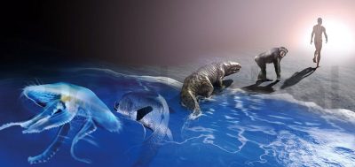 L'évolution a t'elle un sens ? - Science&Vie 1059
